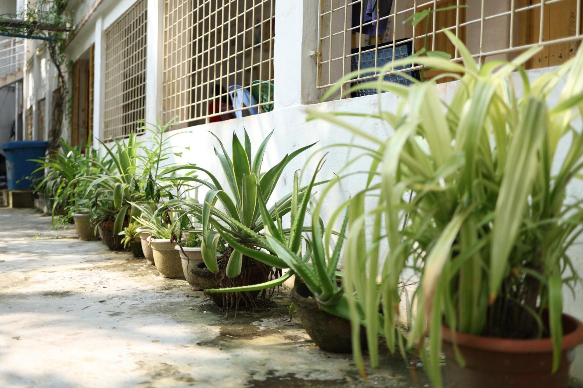 Kriya Yoga Wellness Hotel Dhablat Exterior foto